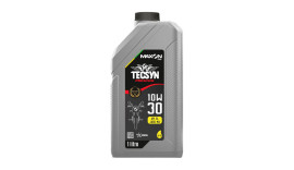 �leo de Motor Tecsyn Premium 10W30 
