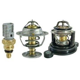 Conjunto de V�lvula termost�tica Ford KA 