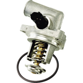 V�lvula Termost�tica Ford Fiesta Ecosport Focus 1.6 8v Zetec